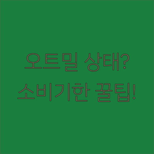 유통기한 지난 오트밀 소비기한과 상태 확인법