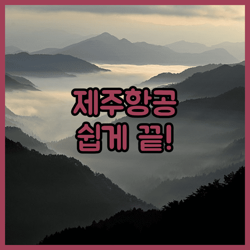 제주항공 온라인 체크인 후 셀프백드롭 이용법