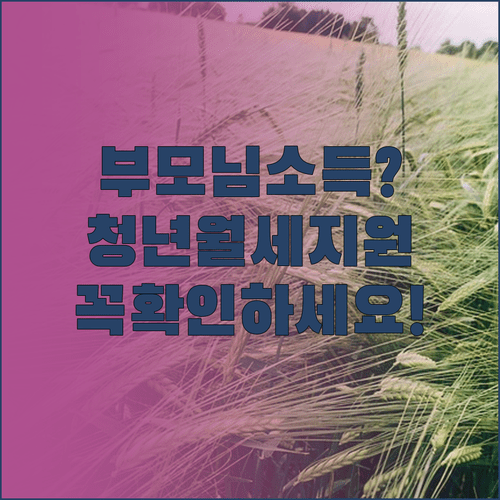 화순군 청년월세지원, 부모님 소득 기준 꼭 확인하세요