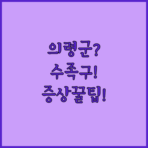 의령군 수족구 증상 발생 시 진료 의원 정보와 집에서 관리하는 방법