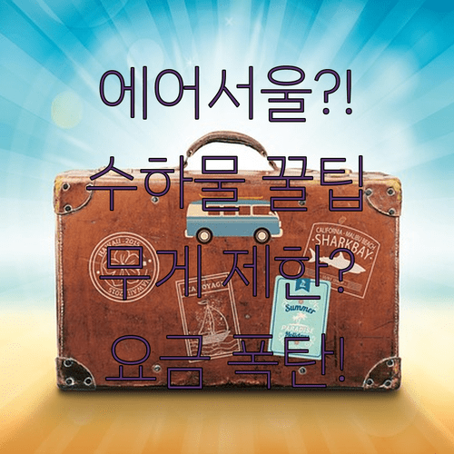 에어서울 수하물 규정 확인 | 운임 타입별 위탁 무게와 요금