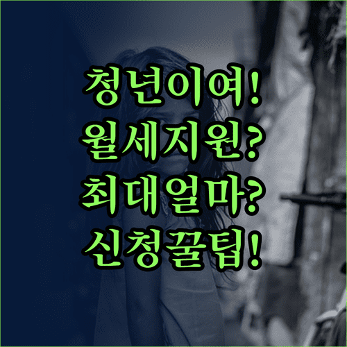 2026년 태백시 청년월세 지원사업 총정리 | 대상 금액 신청 방법