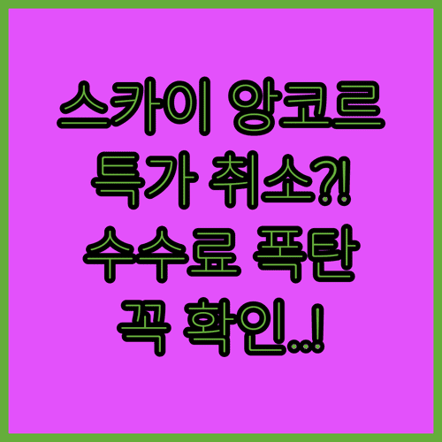 스카이 앙코르 특가 항공권 취소 수수료 확인