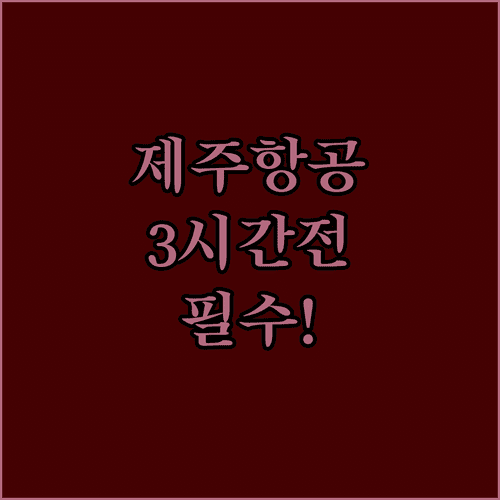 제주항공 인천공항 출발 3시간 전 도착 필수