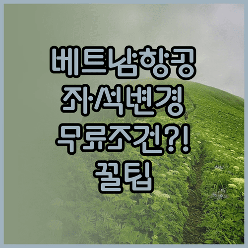베트남항공 좌석 변경 방법 및 무료 조건