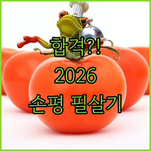 2026 손해평가사 1차 시험 준비 기간과 전략