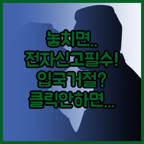 중국 입국 서류 전자 신고서 필수 작성 항목과 대처법