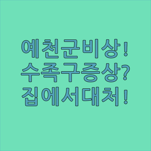 예천군 수족구 증상과 병원 정보 | 집에서 하는 응급 대처법