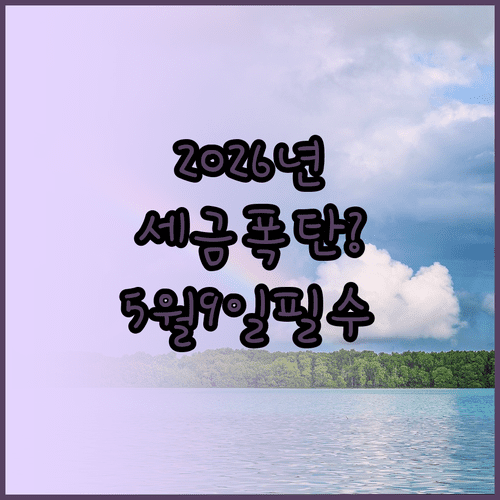 2026년 5월 9일 토지거래허가 신청으로 세금 폭탄 피하기