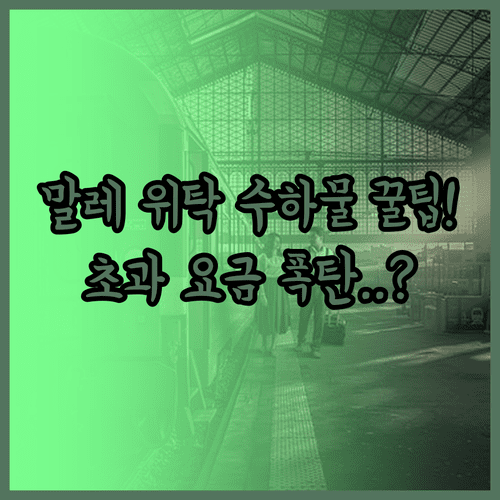 말레이시아 항공 위탁수하물 30kg 무료 노선 확인