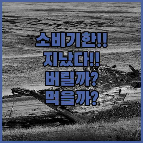 밀키트 소비기한 지났다면 버려야 할까 안전하게 먹을까