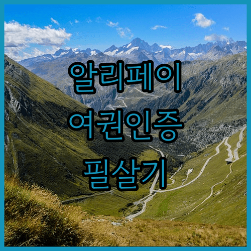 알리페이 여권인증 절차와 오류 해결 방법