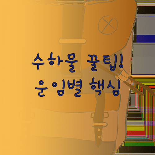 에어프레미아 짐 준비 | 운임별 수하물 규정과 추가 비용