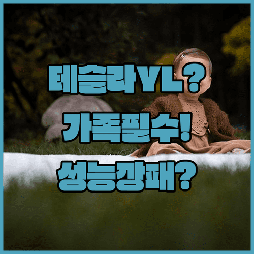 테슬라 모델 YL 패밀리 전기 SUV 추천 이유와 성능