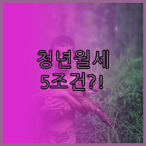 양평군 청년월세 지원 신청 전 확인할 5가지 조건