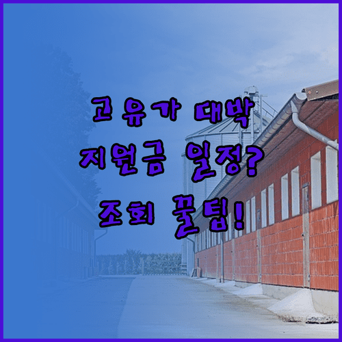 고유가 지원금 유형별 지급 일정과 조회 팁