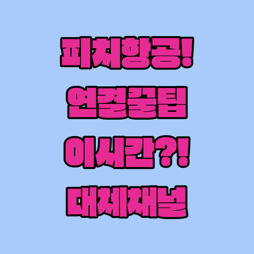 피치항공 고객센터 연결 잘되는 시간과 대체 채널