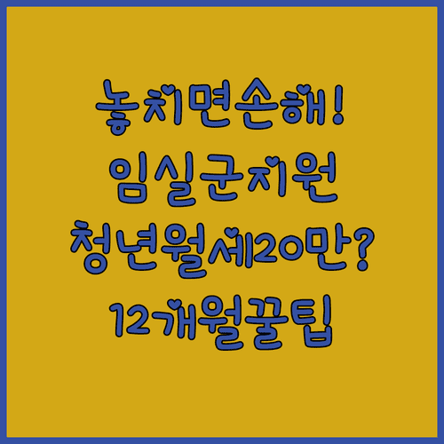 임실군 청년월세 월 최대 20만원 12개월 지원 조건 확인