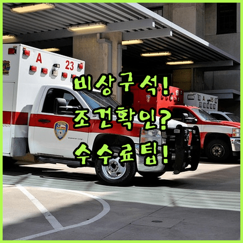 폴란드항공 비상구석 좌석 지정 조건과 수수료 정리