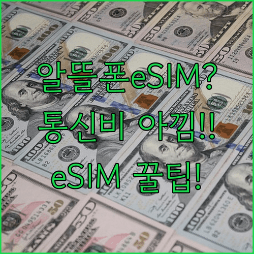 알뜰폰 eSIM으로 통신비 아끼는 실전 꿀팁