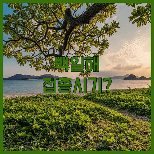 백일해 접종 시기 놓치면 어떻게 되는지 정리