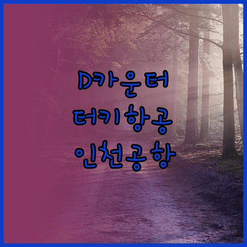 인천공항 터키항공 제1터미널 D카운터 위치 확인