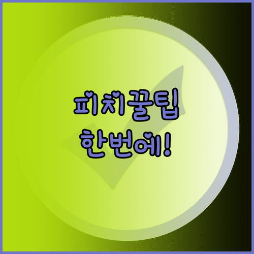 피치항공 인천공항 출발 수속부터 탑승동까지 한 번에