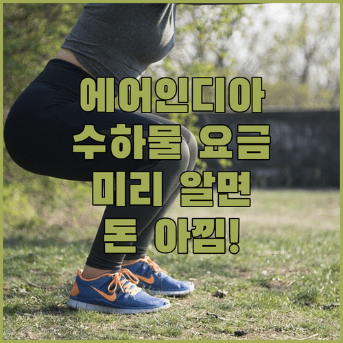 에어인디아 초과 수하물 요금 미리 알면 돈 아끼는 방법