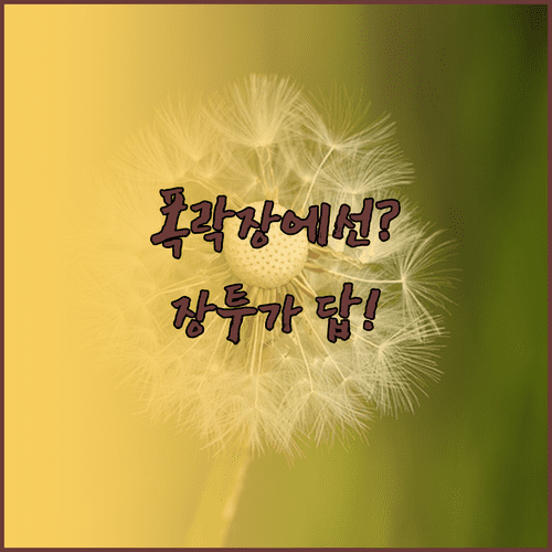하락장에도 흔들리지 않는 장기 주식 투자 마음가짐