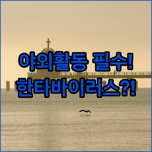 한타바이러스 감염 위험 낮추는 올바른 야외 활동 생활 수칙