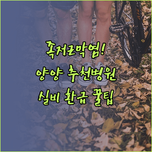 양양군 족저근막염 정형외과 추천 | 체외충격파 비용과 실비 청구 방법