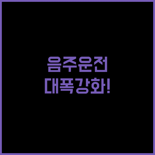 2026년 음주운전 면허 정지 기준과 벌금 상향