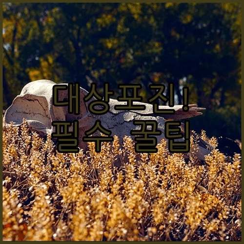 image 4de0c315