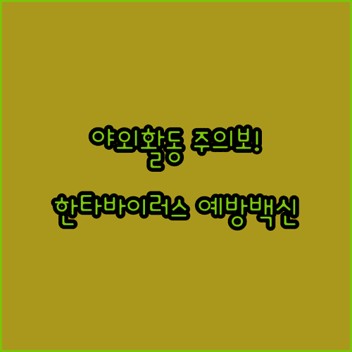 야외 활동 한타바이러스 감염 경로 | 초기 증상, 예방 백신 안내