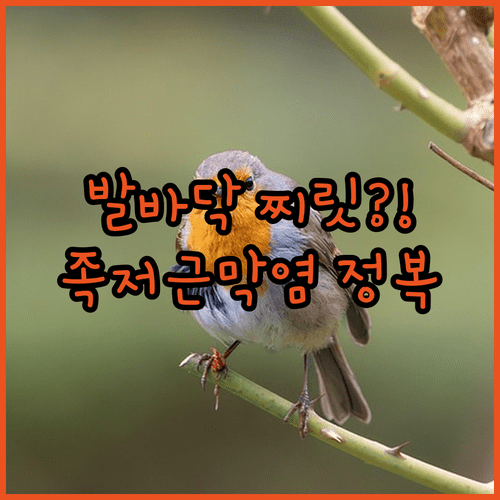 아침에 느끼는 발바닥 찌릿함 족저근막염 원인과 관리법