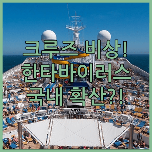 크루즈선 한타바이러스 분석 | 국내 감염 경로와 예방 수칙