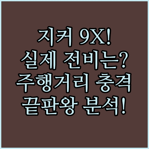 지커 9X 전기 주행 거리와 전비 효율 분석