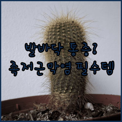 발바닥 통증 원인 족저근막염 증상 및 일상 관리법 총정리