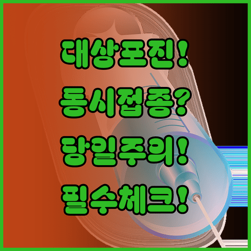 대상포진 백신 당일 접종과 다른 주사 동시 접종 기준 | 접종 당일 주의사항