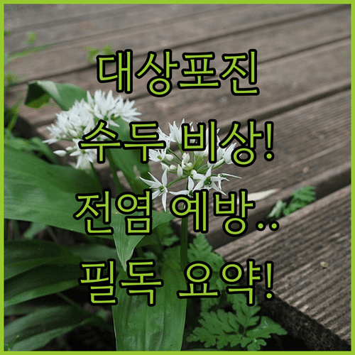 대상포진 수두 핵심 요약 | 발생 형태, 전염 예방, 주의 대상