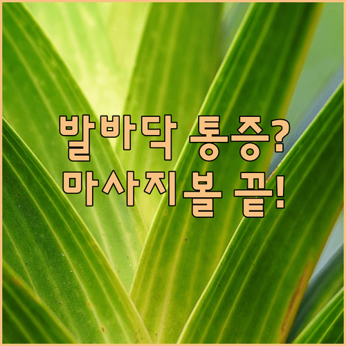 족저근막염 통증 줄이는 마사지볼 루틴 | 초보자용 도구 추천과 운동법