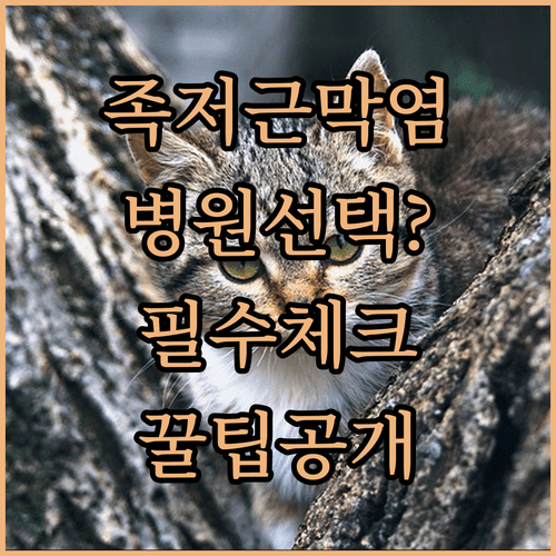 일산서구 족저근막염 병원 선택 기준과 치료 방법