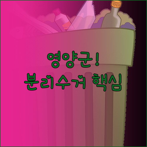 영양군 생활 쓰레기 배출 장소와 품목별 분리수거 방법