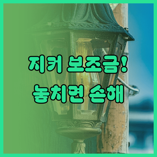 수입 전기차 지커 구매 전 서비스 인프라와 보조금 확인