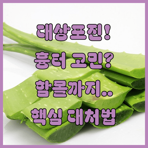 대상포진 후 피부 자국과 함몰 흉터 대처법