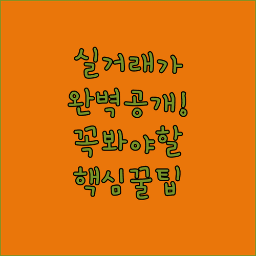 데이터로 보는 부동산 시장 실거래가 공개시스템 완벽 활용