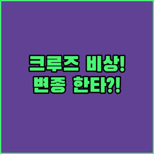 한타바이러스 변종 크루즈선 감염 실태 | 주요 증상 치사율 일상 위생 관리법