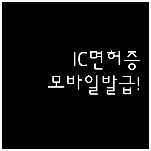 IC 운전면허증과 일반 면허증 모바일 발급 방법