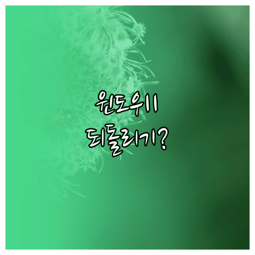 윈도우11에서 이전 버전으로 돌아가는 방법과 조건