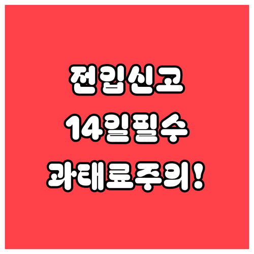 전입신고 14일 이내 신고기간과 과태료 기준